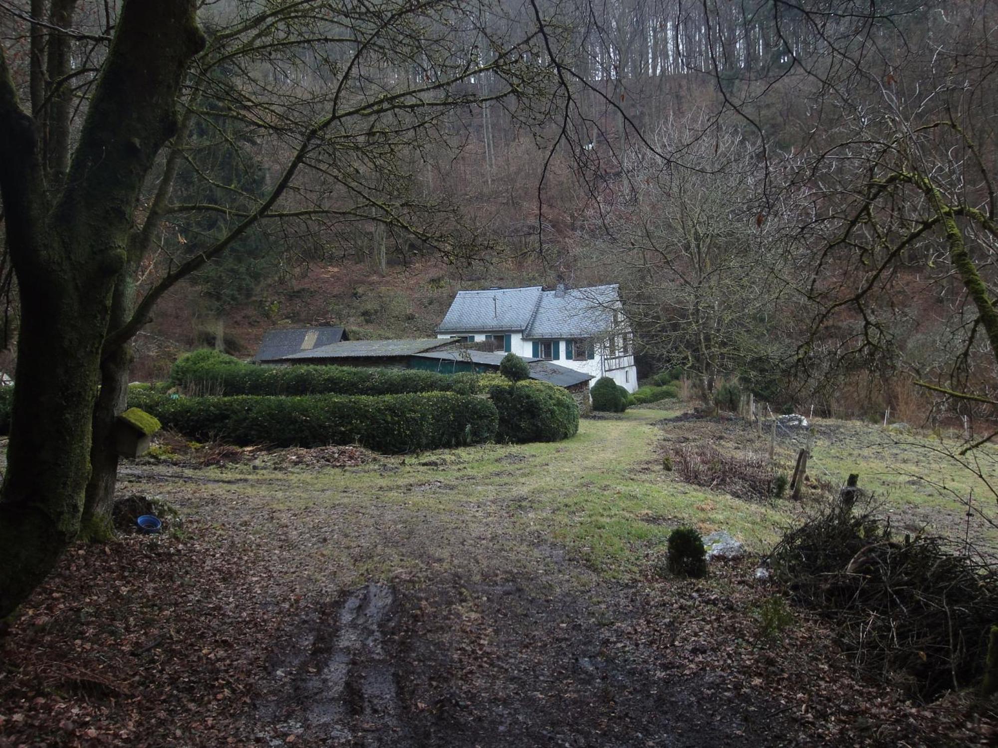Holiday Home In Kleinich With Sauna Exteriör bild